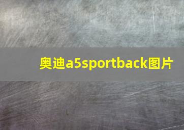 奥迪a5sportback图片