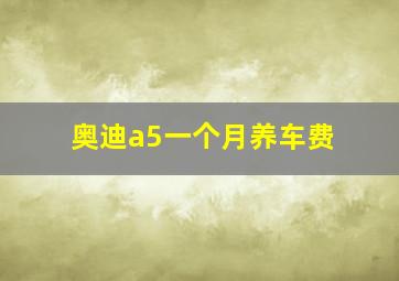 奥迪a5一个月养车费