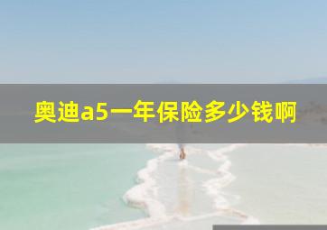 奥迪a5一年保险多少钱啊