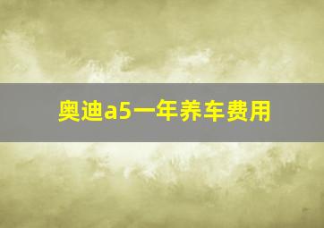 奥迪a5一年养车费用