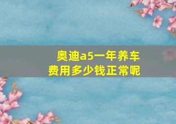 奥迪a5一年养车费用多少钱正常呢