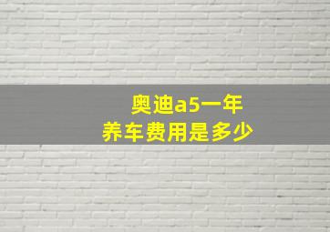 奥迪a5一年养车费用是多少