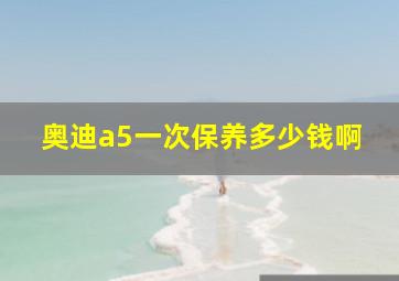 奥迪a5一次保养多少钱啊