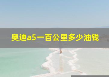 奥迪a5一百公里多少油钱