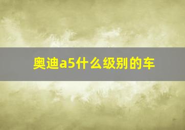 奥迪a5什么级别的车