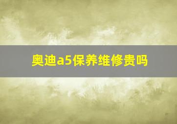 奥迪a5保养维修贵吗