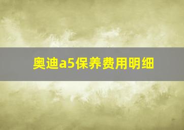 奥迪a5保养费用明细