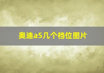 奥迪a5几个档位图片