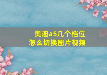 奥迪a5几个档位怎么切换图片视频