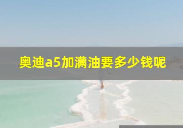 奥迪a5加满油要多少钱呢