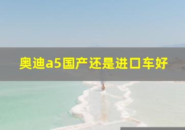 奥迪a5国产还是进口车好