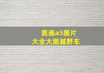 奥迪a5图片大全大图越野车