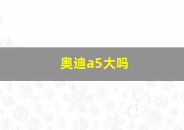 奥迪a5大吗