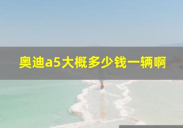 奥迪a5大概多少钱一辆啊