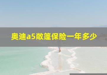 奥迪a5敞篷保险一年多少