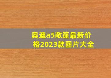 奥迪a5敞篷最新价格2023款图片大全