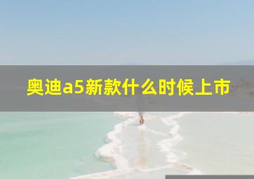 奥迪a5新款什么时候上市