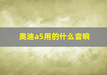 奥迪a5用的什么音响