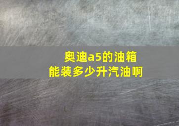 奥迪a5的油箱能装多少升汽油啊