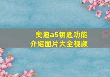 奥迪a5钥匙功能介绍图片大全视频