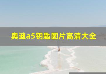 奥迪a5钥匙图片高清大全