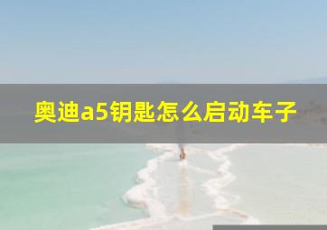 奥迪a5钥匙怎么启动车子