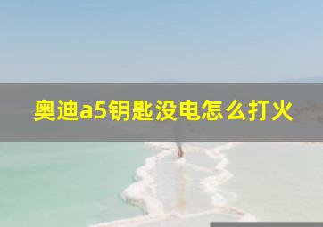 奥迪a5钥匙没电怎么打火