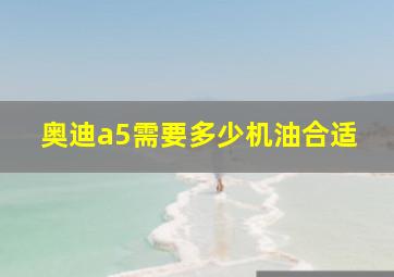 奥迪a5需要多少机油合适