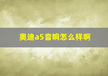 奥迪a5音响怎么样啊