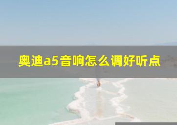 奥迪a5音响怎么调好听点