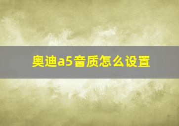 奥迪a5音质怎么设置