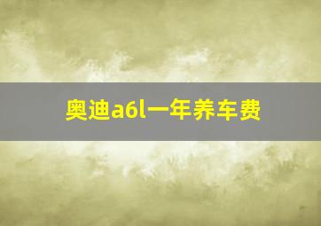 奥迪a6l一年养车费