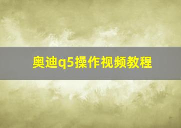 奥迪q5操作视频教程