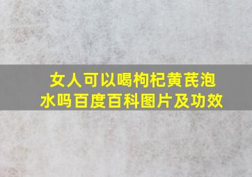 女人可以喝枸杞黄芪泡水吗百度百科图片及功效