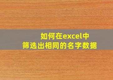 如何在excel中筛选出相同的名字数据