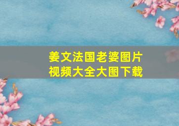 姜文法国老婆图片视频大全大图下载