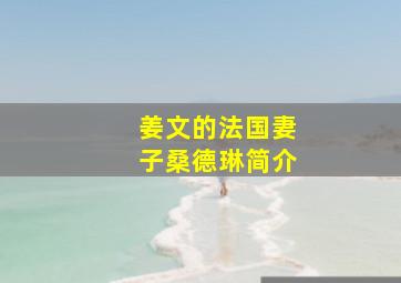 姜文的法国妻子桑德琳简介