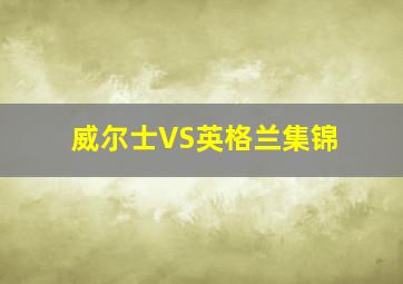 威尔士VS英格兰集锦