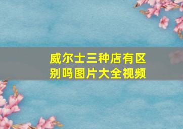 威尔士三种店有区别吗图片大全视频