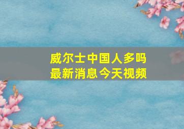 威尔士中国人多吗最新消息今天视频