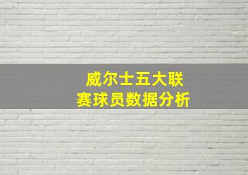 威尔士五大联赛球员数据分析