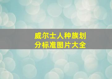 威尔士人种族划分标准图片大全