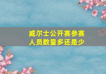 威尔士公开赛参赛人员数量多还是少