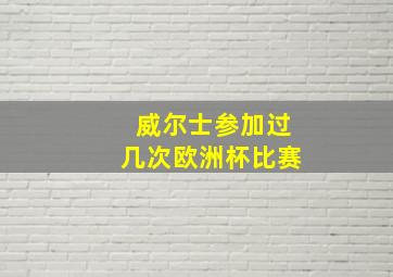 威尔士参加过几次欧洲杯比赛