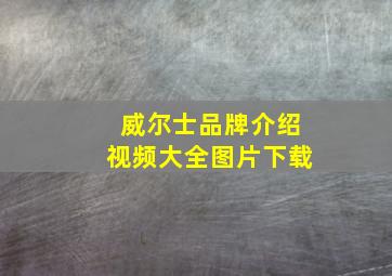 威尔士品牌介绍视频大全图片下载