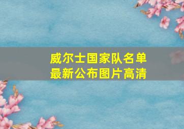 威尔士国家队名单最新公布图片高清