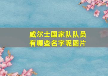 威尔士国家队队员有哪些名字呢图片