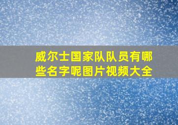 威尔士国家队队员有哪些名字呢图片视频大全