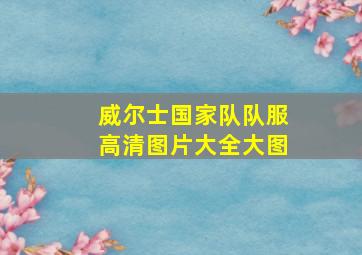 威尔士国家队队服高清图片大全大图