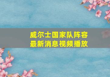 威尔士国家队阵容最新消息视频播放